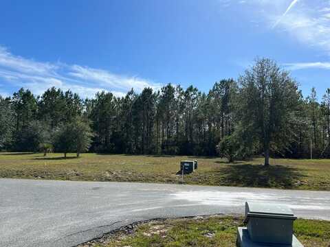 869th Loop, Steinhatchee, FL 32539