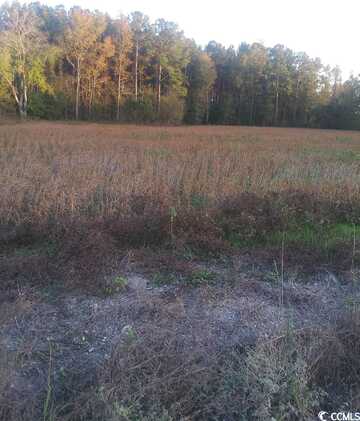 Lot 3 Miller Rd., Mullins, SC 29574