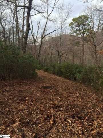 Panther Mountain Road, Travelers Rest, SC 29690