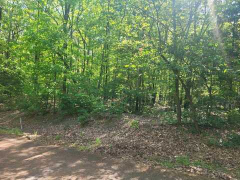 Lot 182 Tannenbaum Road, Drasco, AR 72530