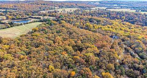 Onda Mountain (WC 213), West Fork, AR 72774