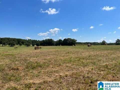 OWENS ROAD, ASHLAND, AL 36251