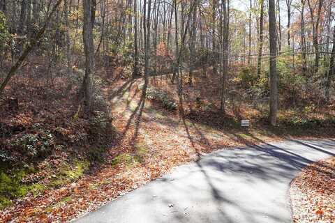 none Silly Ridge Road, Scaly Mountain, NC 28775
