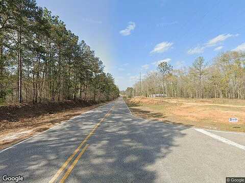 County Road 97, ABBEVILLE, AL 36310