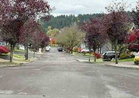 Kisor, HAPPY VALLEY, OR 97086