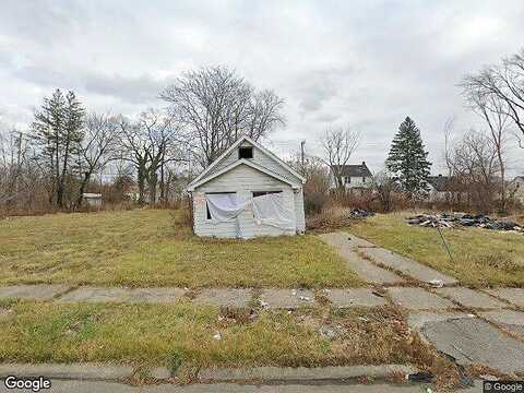 Ferguson, DETROIT, MI 48235