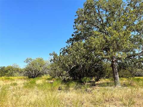 0000 Lot 27 PR 1272, Carlton, TX 76436