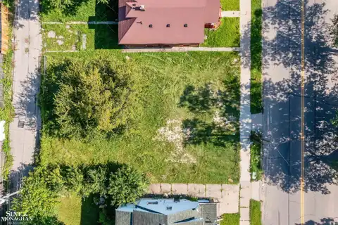 1596 Alter, Detroit, MI 48215