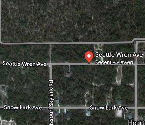 11199 SEATTLE WREN AVENUE, WEEKI WACHEE, FL 34614