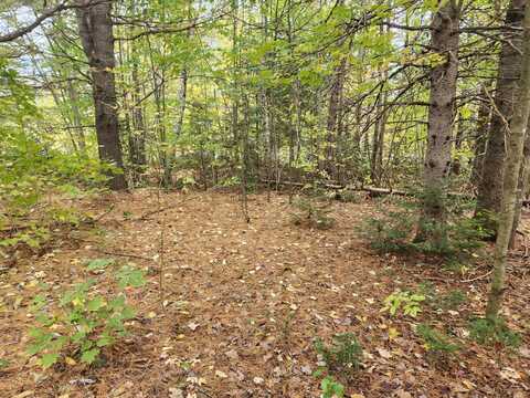 Lot #82 Seboeis Road, Seboeis Plt, ME 04448