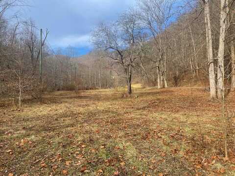 Leonard-Cordova Rd, Renick, WV 24966