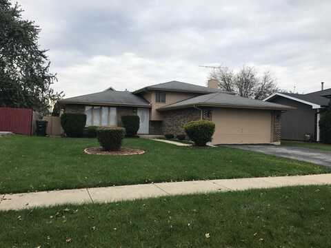 Willow, COUNTRY CLUB HILLS, IL 60478