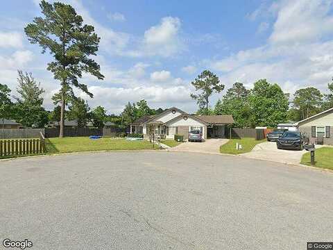 Barony, HINESVILLE, GA 31313