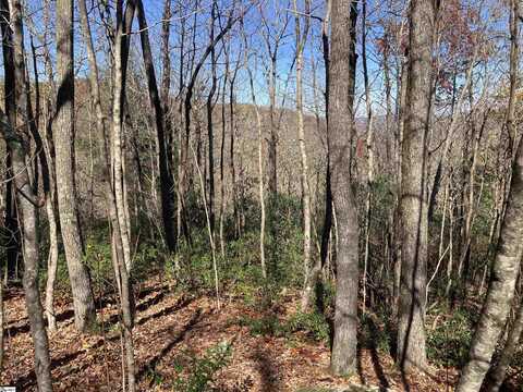 Wild Magnolia Way, Zirconia, NC 28790