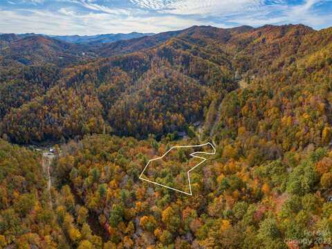 000 Wispy Willow Drive, Waynesville, NC 28785