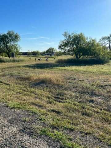 Lot 20 Nakishwana Circle, Sandia, TX 78383