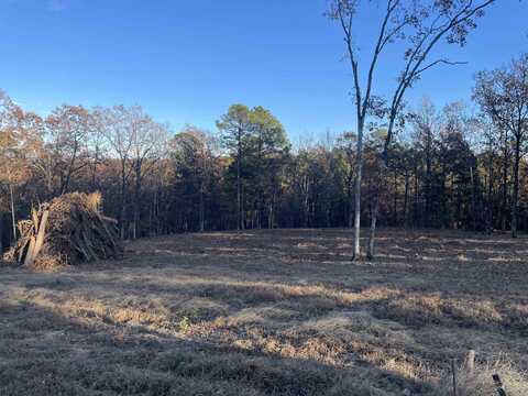 Lot 13 Orchard Hill Ph 3, Conway, AR 72034