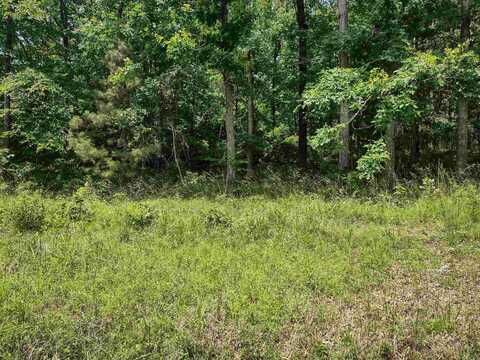 Lot 3305 Ohio Drive, Hot Springs, AR 71913