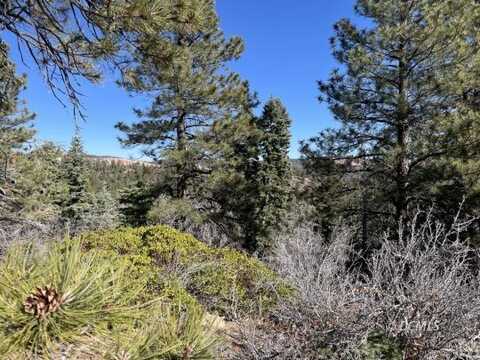 S Coral Springs Rd, Duck Creek Village, UT 84762