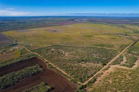 Tbd County Road 270 County Road 270, Coleman, TX 76834