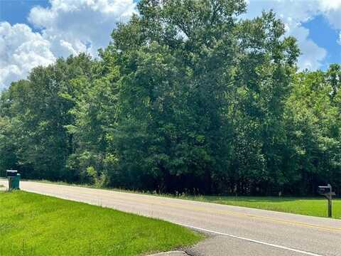 3 ACRE TRACT OLD COVINGTON Highway, Hammond, LA 70403