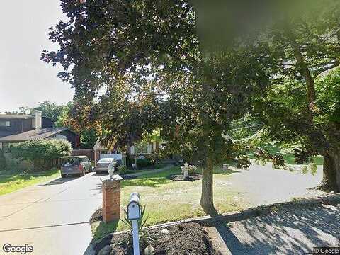 Dendron, CORAOPOLIS, PA 15108