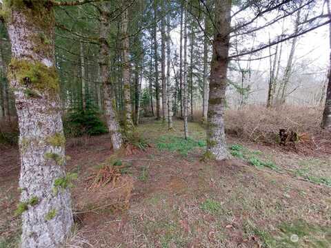 Iowa Heights, SEDRO WOOLLEY, WA 98284