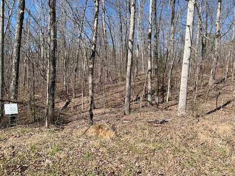 Lot 389 Simmons Rd, Pikeville, TN 37367