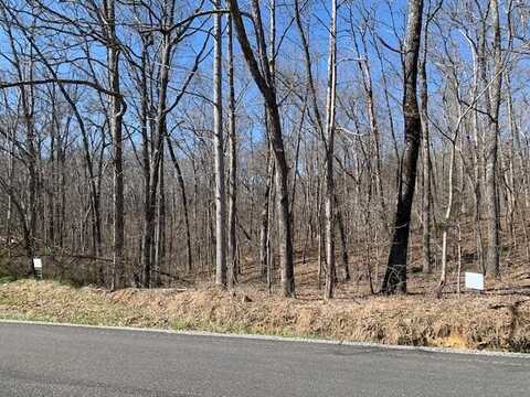 Lot 388 Simmons Rd., Pikeville, TN 37367