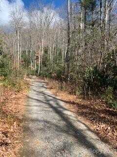 Tbd Greybeard Trail, Montreat, NC 28757