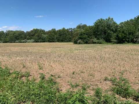 County Road 1117 Tract 8, Madison, MO 65263