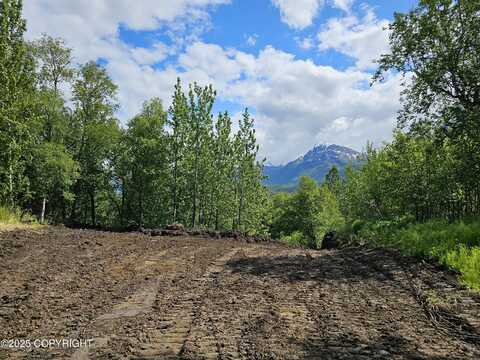19330 E Jessica Ann Street, Palmer, AK 99645
