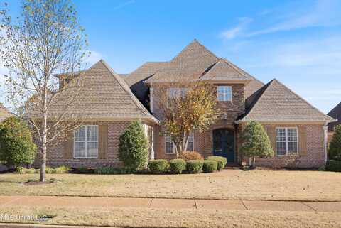 6222 S Bear Cove, Olive Branch, MS 38654