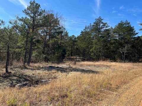 001-01049-000 CR 128, Calico Rock, AR 72519