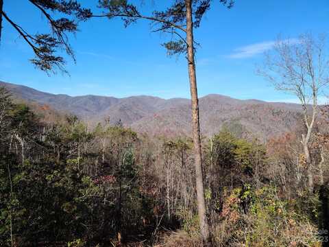 0 Blue Vista Road, Canton, NC 28716