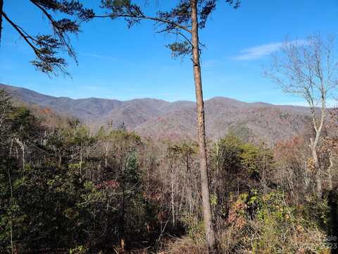 0 Blue Vista Road, Canton, NC 28716