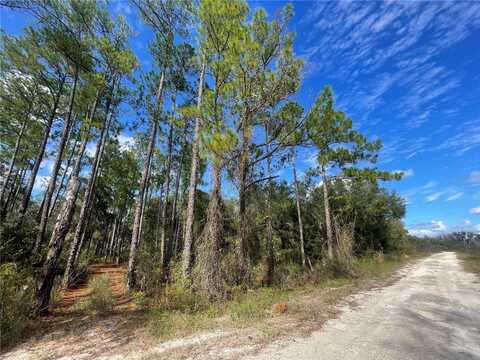 MEDICINE STONE DRIVE, WEBSTER, FL 33597