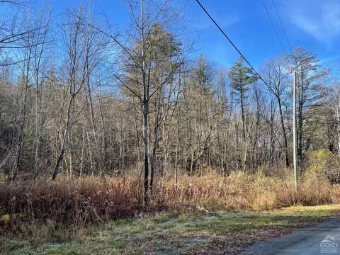 0 Covenant Circle, New Lebanon, NY 12125