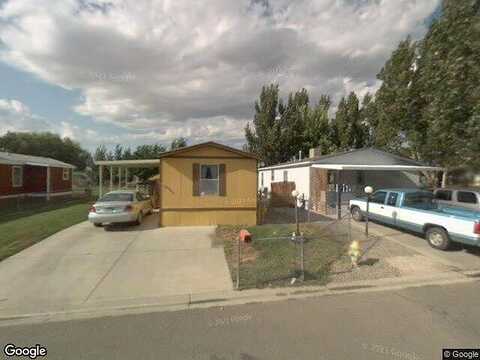 Globe Willow, GRAND JUNCTION, CO 81504