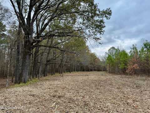 Stout Farms Rd, Madison, MS 39110