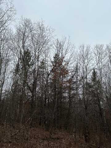 On WOOD RD, Tomahawk, WI 54487