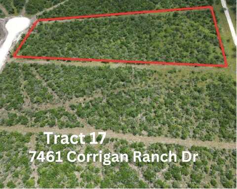 7460 Corrigan Ranch- tract 17 Road, Skidmore, TX 78389
