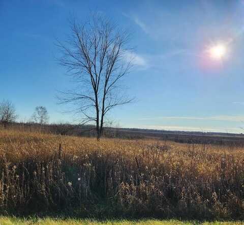 HOMESTEAD ROAD, Conrath, WI 54731