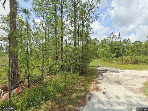 Scarlet Sage, SEBRING, FL 33875