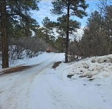 Blue Jay, PAGOSA SPRINGS, CO 81147