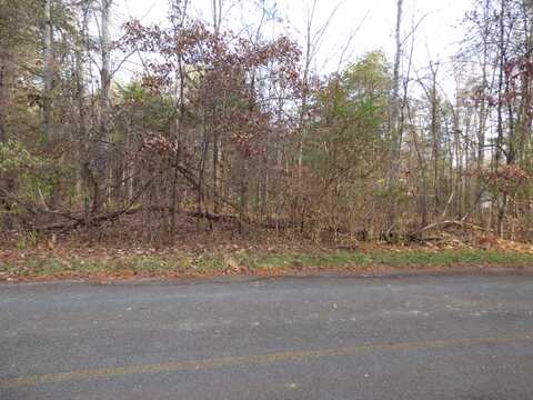 Lot 1022 Cove Ln, Baneberry, TN 37890