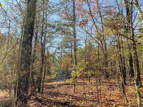 1664 Scroggins Creek Road, Bee Branch, AR 72013