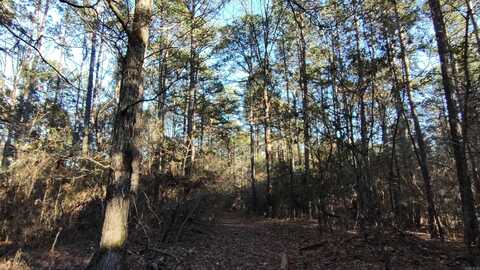 Tract 4 Trout Creek Road, Watson, OK 74963