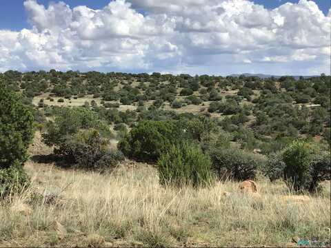 3 Lot 15 Highway, Silver City, NM 88061