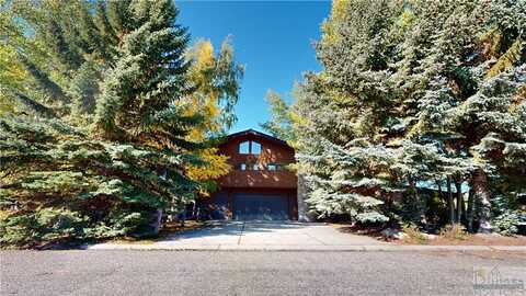 1233 SILVER CIRCLE, Red Lodge, MT 59068